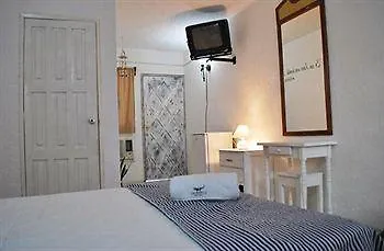 Cocodrilo Hotel Playa del Carmen