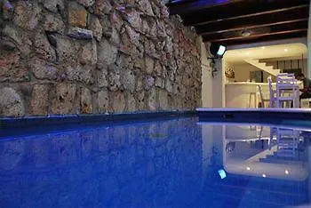 Cocodrilo Hotel Playa del Carmen