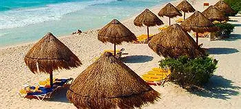 Cocodrilo Hotel Playa del Carmen