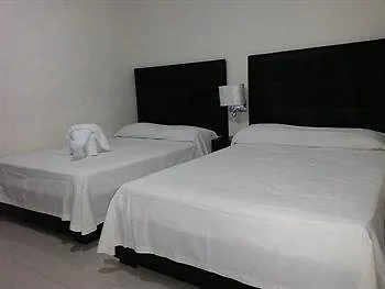 Cocodrilo Hotel Playa del Carmen
