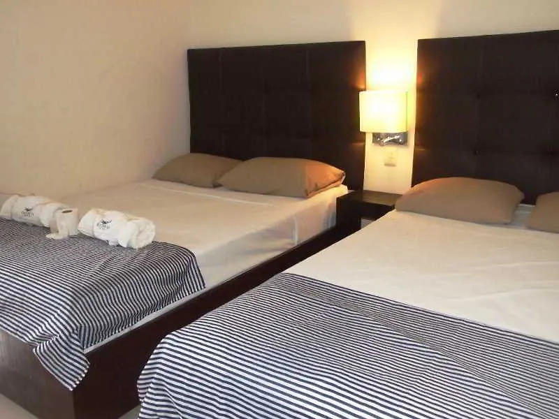 Cocodrilo Hotel Playa del Carmen