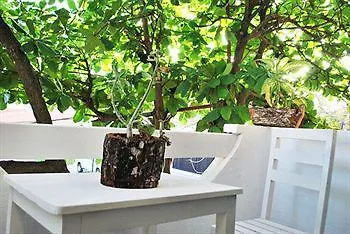 Cocodrilo Hotel Playa del Carmen