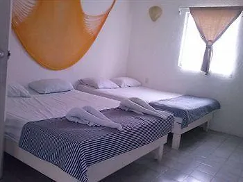 Cocodrilo Hotel Playa del Carmen