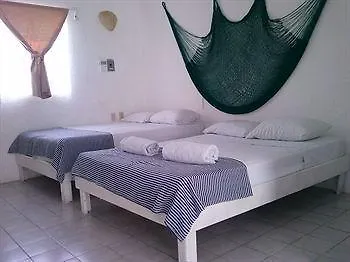 ***  Cocodrilo Hotel Playa del Carmen Mexico