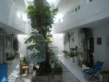 Cocodrilo Hotel Playa del Carmen